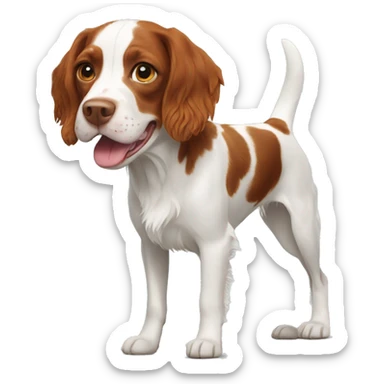 French Brittany spaniel sticker