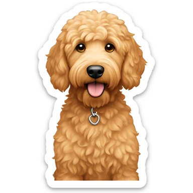 Apricot colored Golden doodle  sticker