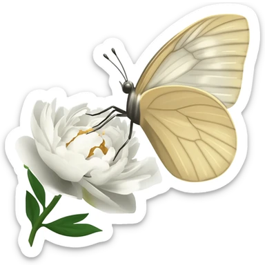 A beautiful light beige butterfly sits on a white peony sticker