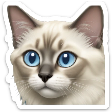 Balinese cat with light blue eyes and medium length fur sticker