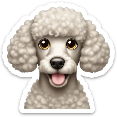 Poodle girl with black head, white chin and dark brown eyes  sticker