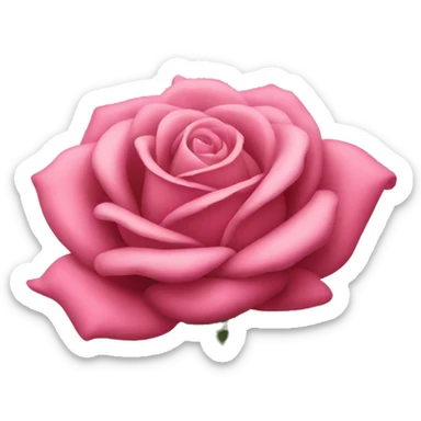 Rose rosa sticker