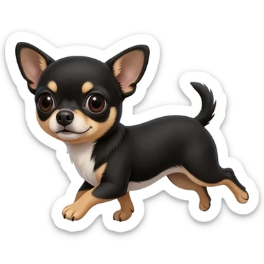 Bébé chihuahua noir marrant poil courut en vacances à la plage une poil courte sticker