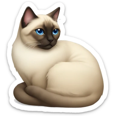 fluffy Siamese cat curled up and sleeping sticker