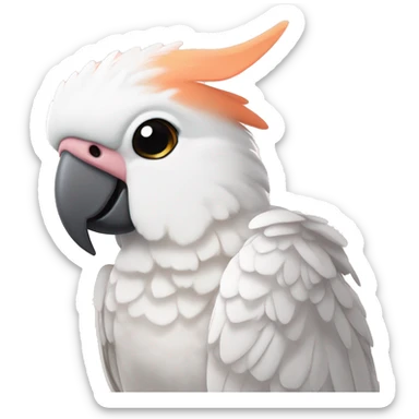 Goffin cockatoo with peach cheeks sticker