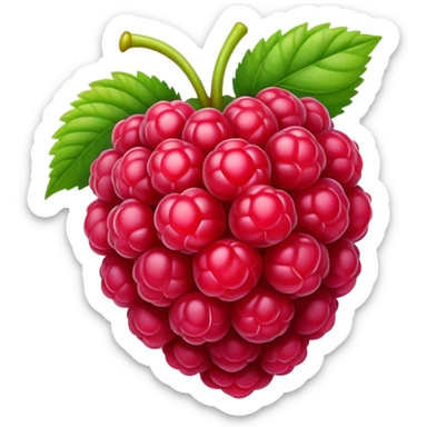raspberry sticker