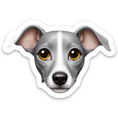 Italian greyhound female, gray color with white chest, shinning eyes sticker