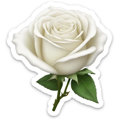 white rose sticker