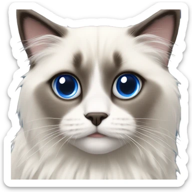 Ragdoll with blue eyes in christmas sweater sticker