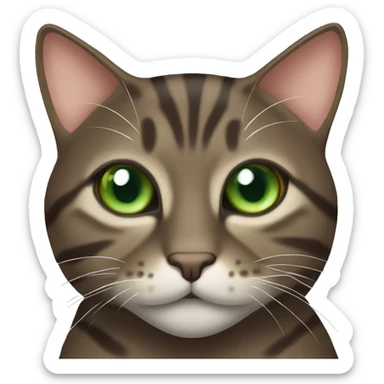 Dark brown tabby cat with slanted Green eyes sticker