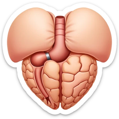 hernia, simple medical illustration sticker