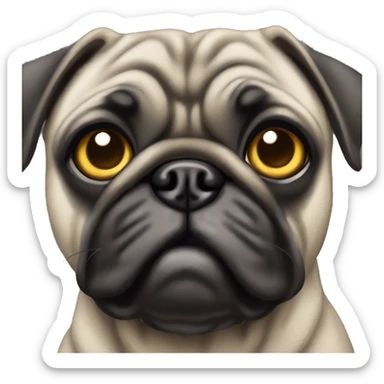 Grey brindle pug with honey eyes sticker