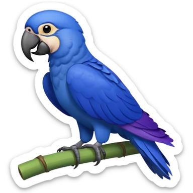 Hyacinth macaw sticker
