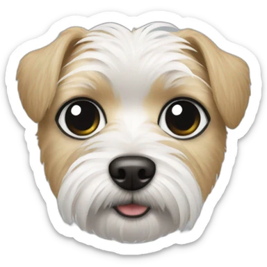 White Morkie black eye sticker