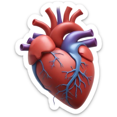 Heart with arteries and veins sticker