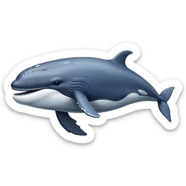 Majestic Hump back whale  sticker