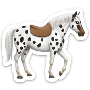 appaloosa horse sticker