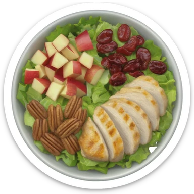 Salad with pecans, grilled chicken, dried cranberries, and apples made with iceberg lettuce sticker