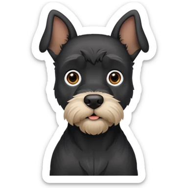 Black schnauzer with cropped ears sticker