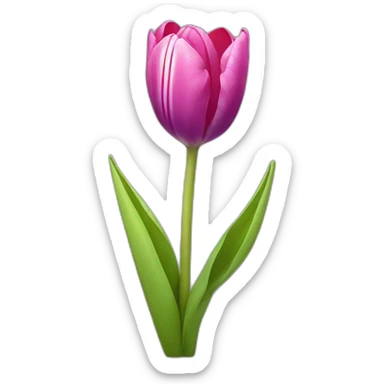 radiant tulip flower sticker