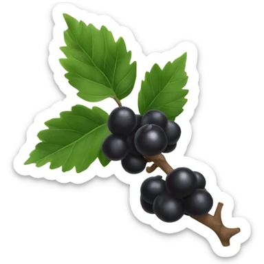 black little berries branch sticker