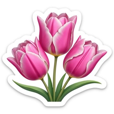 Pink tulips sticker