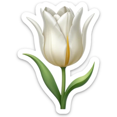 white tulip sticker