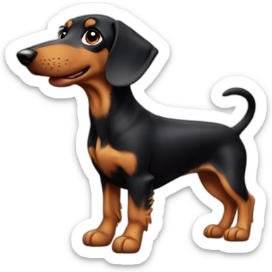 Teckel a poil long sticker