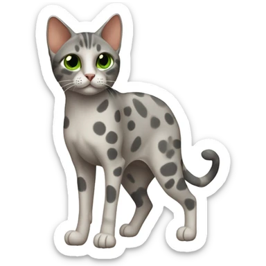 Short-haired oriental cat , full body , grey coat with spots , green eyes , terracotta nuzzle sticker