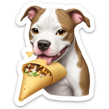Pit bull dog eating burrito  sticker