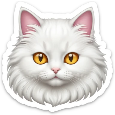 Котик показує супер sticker