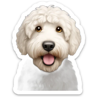 White australian labradoodle sticker