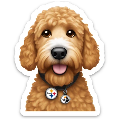 Ginger golden doodle with white tuft on head and white nose wearing Pittsburgh Steelers jersey sticker
