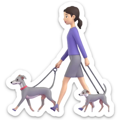 Beautiful Asian girl walking a solid grey Italian greyhound with absolutely no white markings, completely grey dog sticker