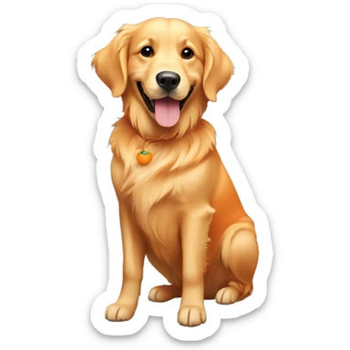 Golden retriever smiling with an orange t-shirt  sticker