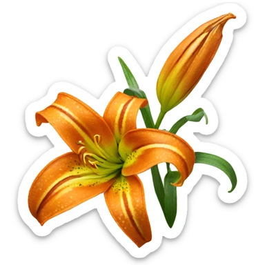 orange tiger lily flower sticker