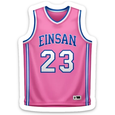 pink basketball jersey with the number 23 sticker