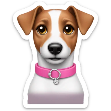 Jack Russel with pink collar  sticker