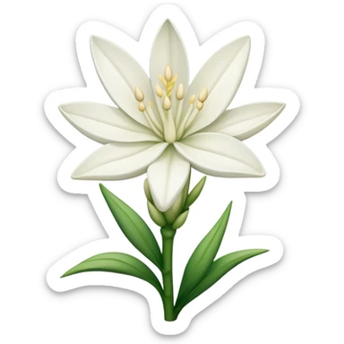 Tuberose sticker