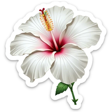 single white Hawaiian hibiscus, straight stem sticker