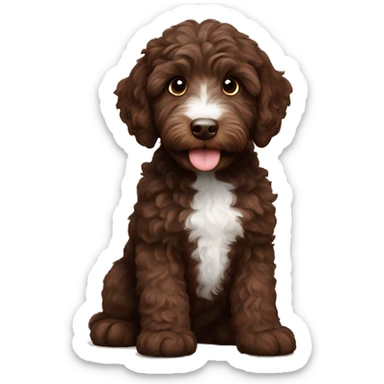 chocolate mini australian labradoodle puppy sticker