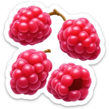 Raspberry  sticker