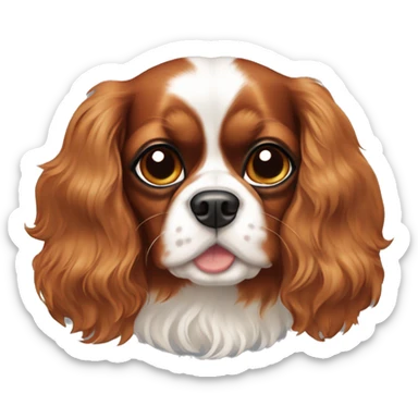 cavalier king charles spaniel with brown cheeks  sticker