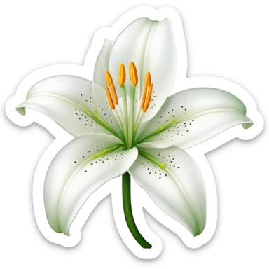 Botanically accurate white lily flower with exactly six petals, six stamens, and green stem sticker