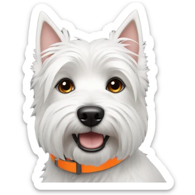A Westie dog with a neon orange collar sticker