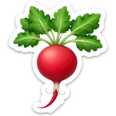 the actual radish compared to the leaves needs to be smaller, radish UK plant with a bit of white on the bottom of the radish sticker