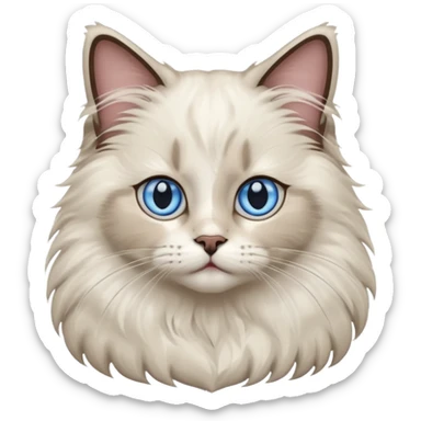 Ragdoll cat sticker