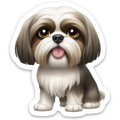 Shitzu sticker