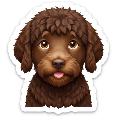 Chocolate labradoodle sticker