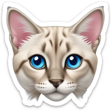 lynx-point-siamese-cat-blue-eyes-pink-nose sticker